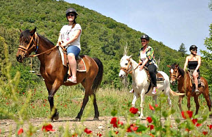 Верховая езда - Экскурсии в Олюдениз